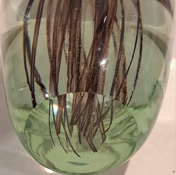 Brown Jellyfish Glass Paperweight. - Picture 8 of 8